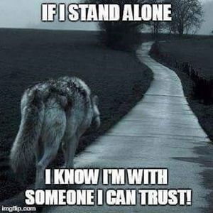 Meet your Posher, Nathan